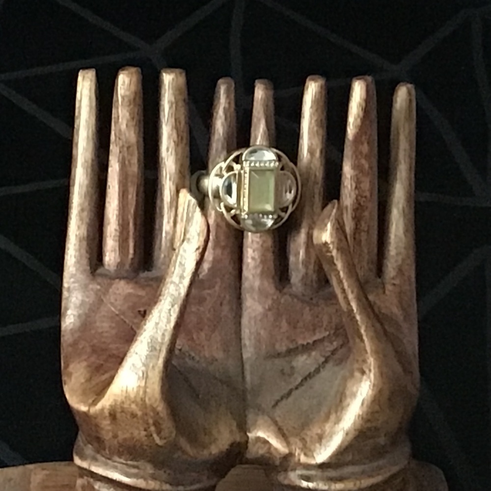 NWT Lia Sophia  “Compass” Ladies Ring